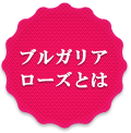 ブルガリアローズとは