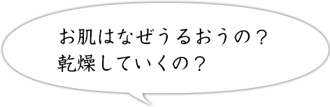 お肌はなぜうるおうの？乾燥していくの？