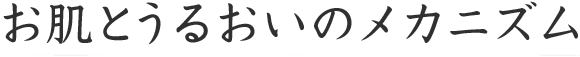 お肌とうるおいのメカニズム
